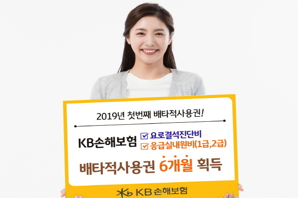 KB손해보험은 새해 첫 번째로 신규 위험 담보 ‘요로결석진단비’와 ‘응급실내원비(1급·2급)’가 손해보험협회로부터 6개월 간의 배타적 사용권을 부여 받았다고 11일 밝혔다.