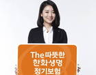 '월급같은 보험'..The따뜻한 한화생명 정기보험 출시