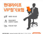 "VIP를 위한 현대라이프 VIP 정기보험"