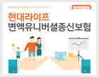 ‘보장·투자 분리’.. 新 변액유니버셜종신보험 나왔다