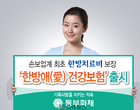 손해보험사서도 ‘한방보장 건강보험’ 나왔다