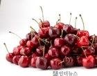 수입산 과일, 5월 장미대전에서 승자는 누구?