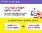 펫보험 가입률 0.1..“동물 의료수가제 부활해야”