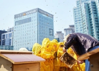 벌통 놓고 숲 가꾸고…꿀벌 살리기 나서는 기업들