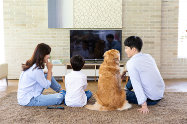 통신3사, 가정의 달 맞아 ‘안방극장’ 볼거리·이벤트 확대