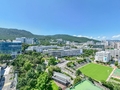 부산대 김지희 교수팀, 머리카락 1만분의 1 크기 나노 다이오드 구현