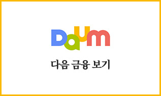 다음 금융 보기