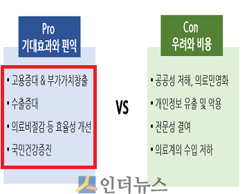 헬스케어산업 활성화에 따른 기대효과와 우려.(출처: 보험연구원)