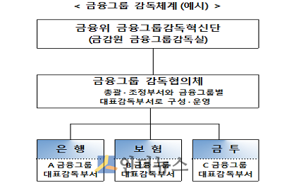 금융그룹 감독체계(예시). (출처: 금융위)