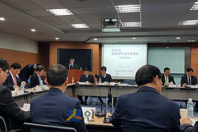 금감원은 7일 서울 종로구 통의동에 위치한 금감원 연수원에서 ‘보험부문 금융감독 업무설명회’를 열었다.