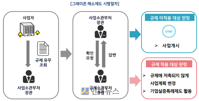 그레이존 해소제도 시행절차. (출처: 보험연구원) 