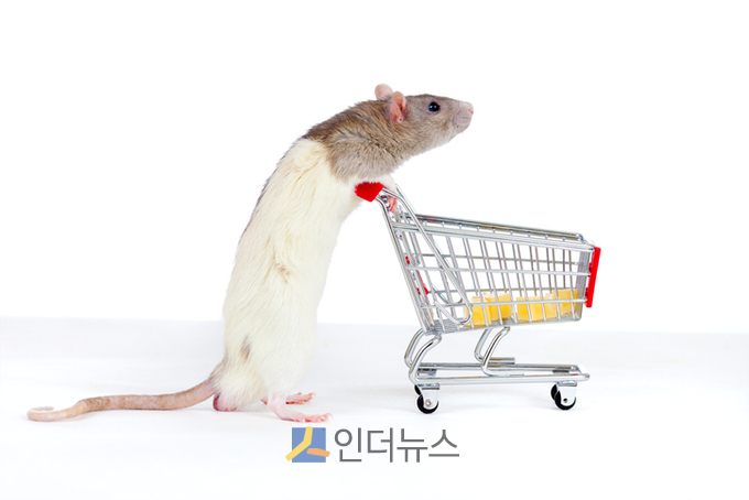이미지 출처: 게티이미지뱅크