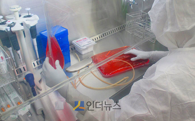 국내 바이오벤처 이뮤니스바이오가 NK세포(자연살해세포, Natural killer cell)의 대량증식에 대한 특허를 취득했다.