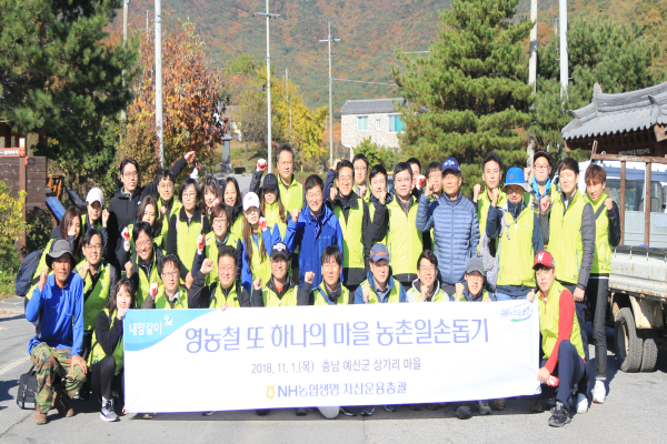 NH농협생명 자산운용총괄본부 임직원 40여명은 지난 1일 충청남도 예산군 상가리를 찾아 가을철 일손돕기에 나섰다고 6일 밝혔다.