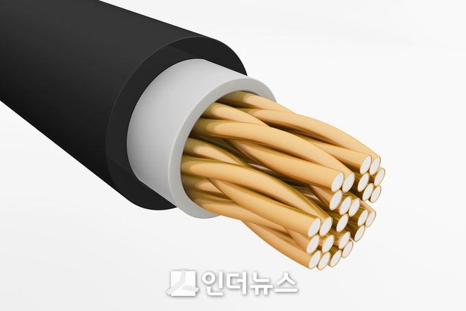 (이미지 : 게티이미지뱅크)