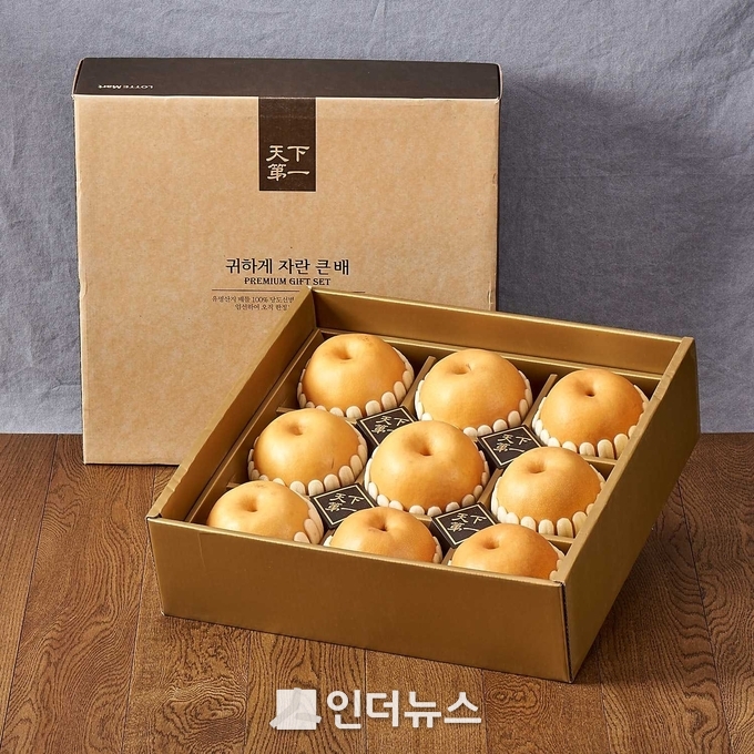 천하제일귀하게자란큰배 이미지 (이미지 제공 : 롯데슈퍼)