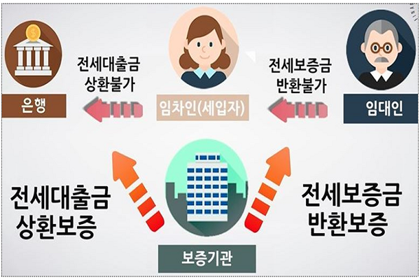 전세대출금 상환보증과 반환보증 설명.(출처: 금감원)