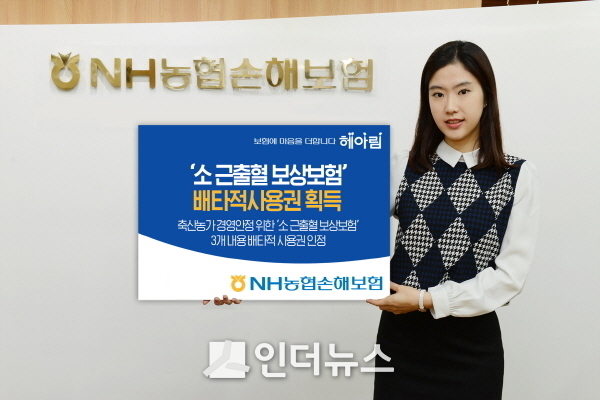 지난달 31일, 농협손보는 ‘소(牛) 근출혈 보상보험’이 배타적 사용권을 획득했다고 7일 밝혔다. Photo @ NH농협손해보험