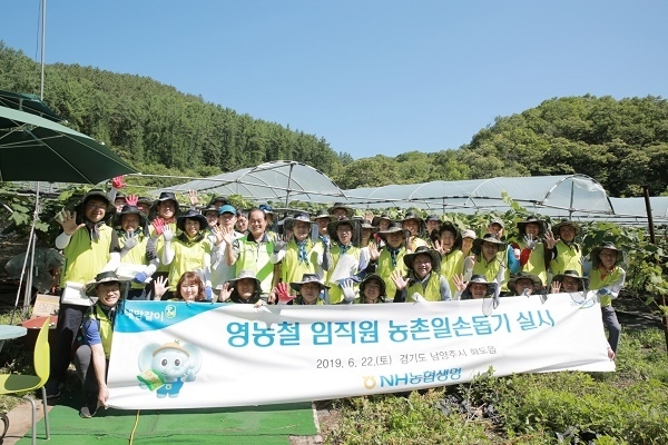 NH농협생명은 홍재은 대표와 임직원 50여명이 지난 22일 경기 남양주 화도읍 포도농가를 찾아 농가 일손돕기에 나섰다고 24일 밝혔다. Photo @ NH농협생명