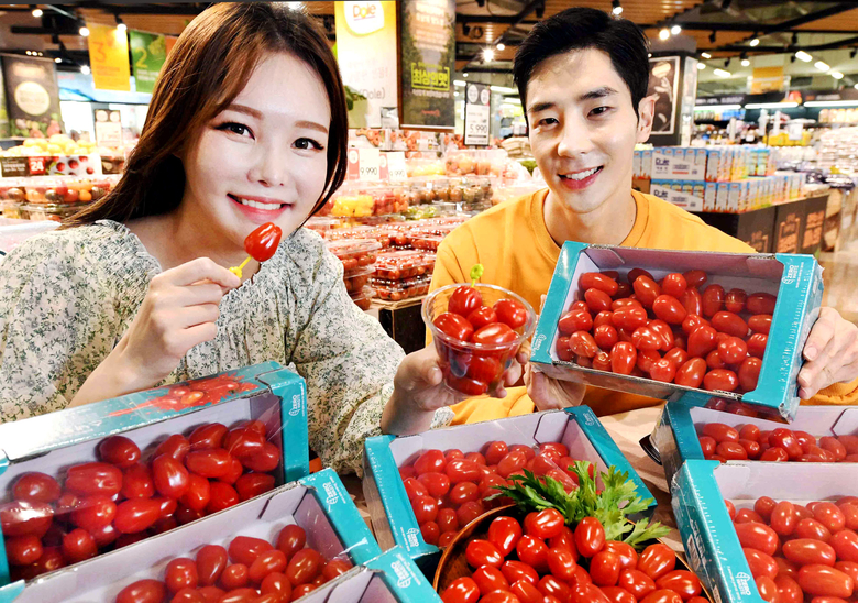 모델들이 7일 서울 등촌동 홈플러스 강서점에서 ‘스낵 토마토’를 선보이고 있습니다. 사진ㅣ홈플러스