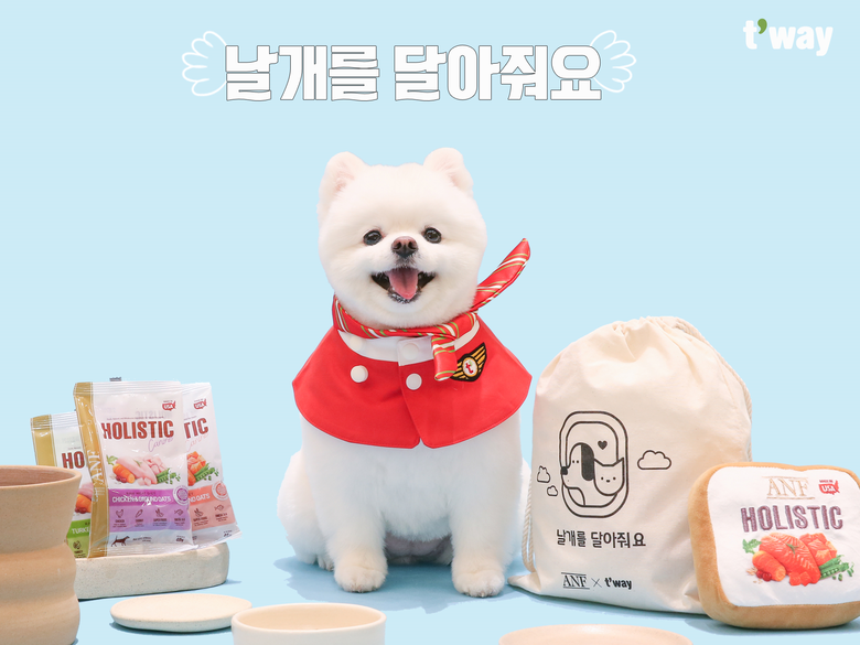 ‘날개를 달아줘요’ 이벤트. 사진ㅣ티웨이항공