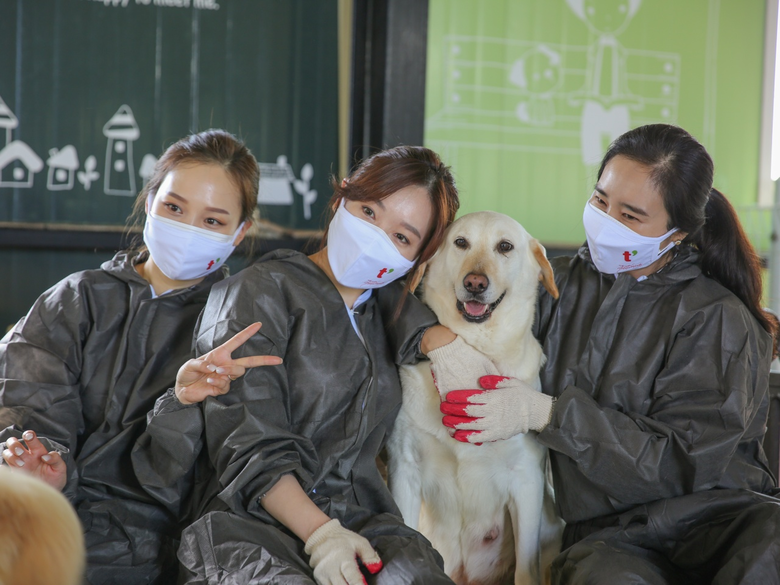 30일 티웨이항공 ‘함께하개’ 유기견 봉사 동호회원들이 경기도 일산에 위치한 유기견 보호소 ‘천사들의 보금자리’를 방문해 청소 봉사 활동을 진행했다. 사진ㅣ티웨이항공