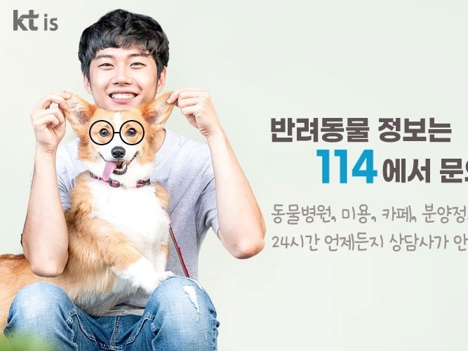번호안내114 반려동물 정보 안내 서비스 이미지. 이미지ㅣKT