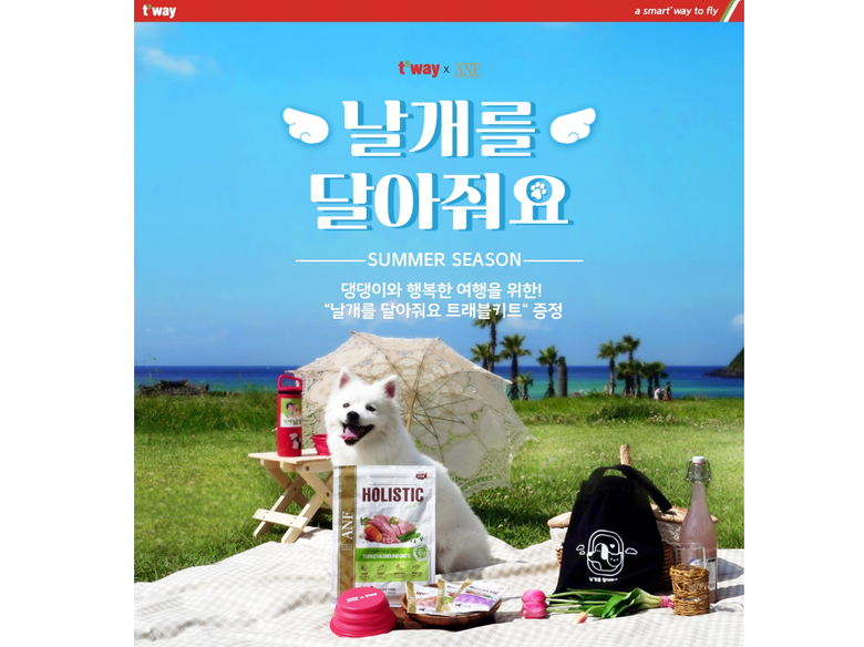 이미지ㅣ티웨이항공