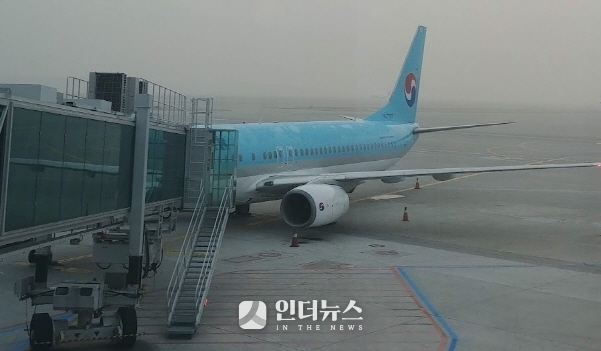 국내 항공사 항공기가 공항 탑승장에 대기 중인 모습, 사진│인더뉴스DB