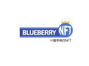 블루베리NFT CI. 이미지ㅣ블루베리NFT