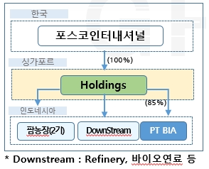 싱가포르 지주회사 투자 구조. 이미지ㅣ포스코인터내셔널
