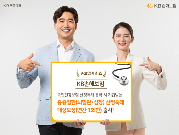 KB손해보험 '중증질환 산정특례 대상 보장' 특약 사진|KB손해보험