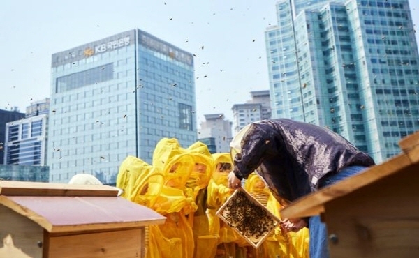 KB국민은행 본관 옥상 'K-Bee' 도시 양봉장에서 벌 키우기 체험 활동을 하는 KB금융그룹 직원 가족들. 사진|KB금융그룹