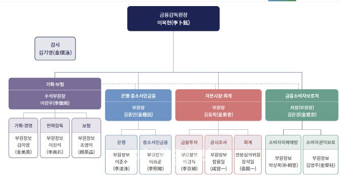 기존 금융감독원 조직도. 이미지ㅣ금융감독원
