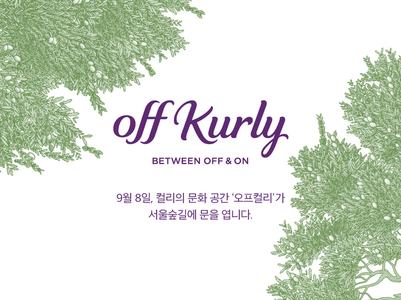 컬리, 다음달 성수동에 체험형 문화공간 '오프컬리' 오픈. 이미지ㅣ컬리