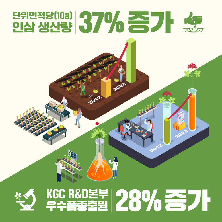 KGC인삼공사 계약재배 데이터. 이미지ㅣKGC인삼공사