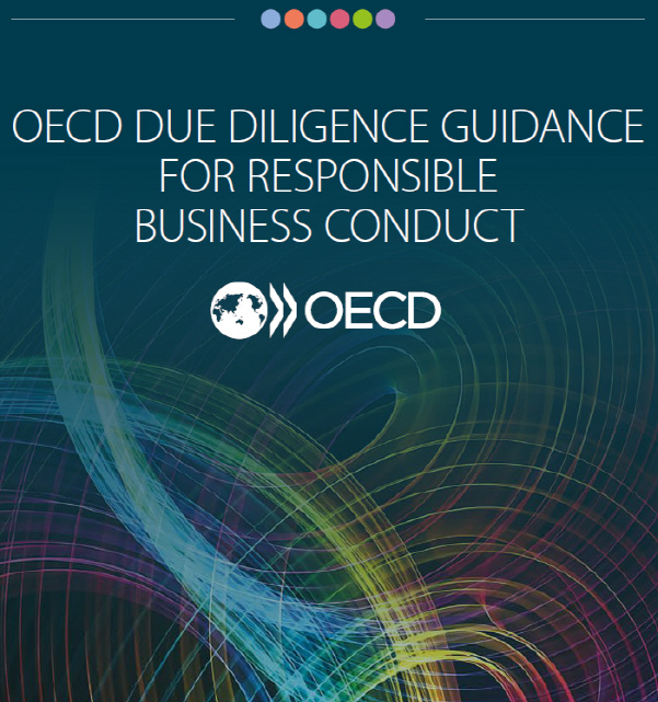 OECD의 기업책임경영을 위한 실사지침. 이미지|OECD