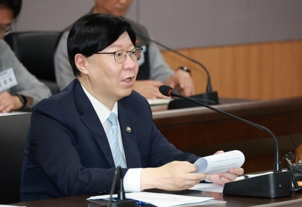 김소영 금융위원회 부위원장이 20일 '카드수수료 적격비용 제도개선TF' 회의를 주재하고 있다. 사진ㅣ금융위원회