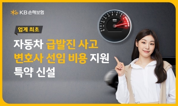 이미지ㅣKB손해보험