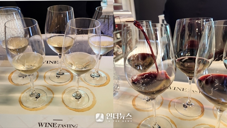 칠레와인 10종 블라인드 테이스팅. 사진ㅣ인더뉴스