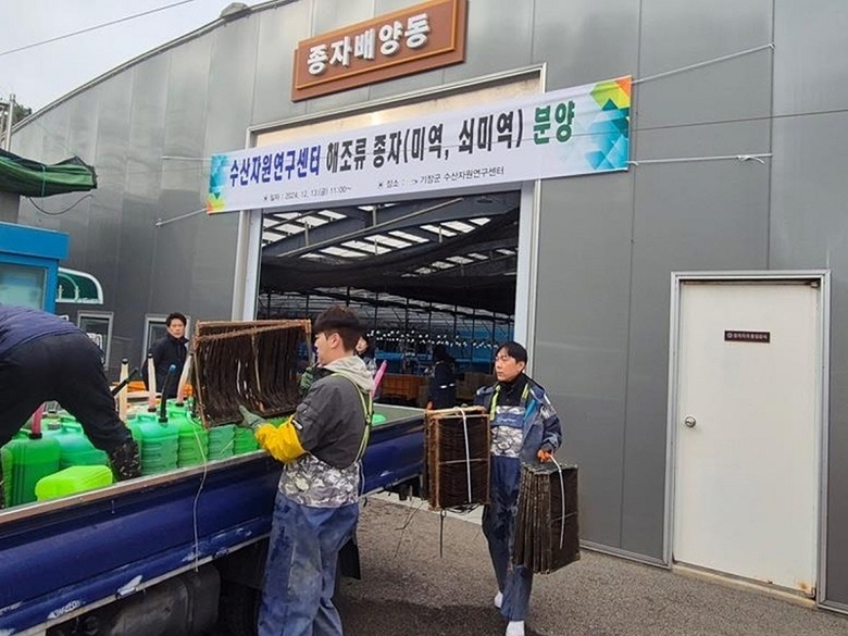 수산자원연구센터에서 자체 생산한 해조류 종자를 어업인에게 배분하고 있다. 사진ㅣ기장군 