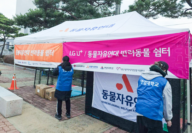 의성체육관 인근에 설치된 국내 최초 반려동물 특화 구호소. 사진ㅣLG유플러스