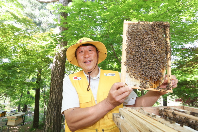LG가 조성한 토종 꿀벌 서식지에서꿀벌통을 들어 보이고 있는 김대립 명인. 사진ㅣLG