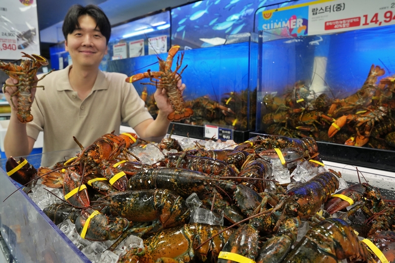 롯데마트 제타플렉스 잠실점 수산 코너에서 판매하는 랍스터. 사진ㅣ롯데쇼핑