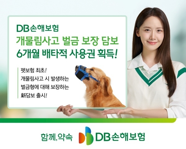 이미지ㅣDB손해보험