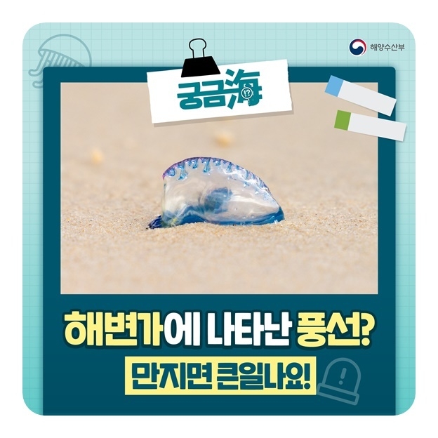 이미지ㅣ해양수산부