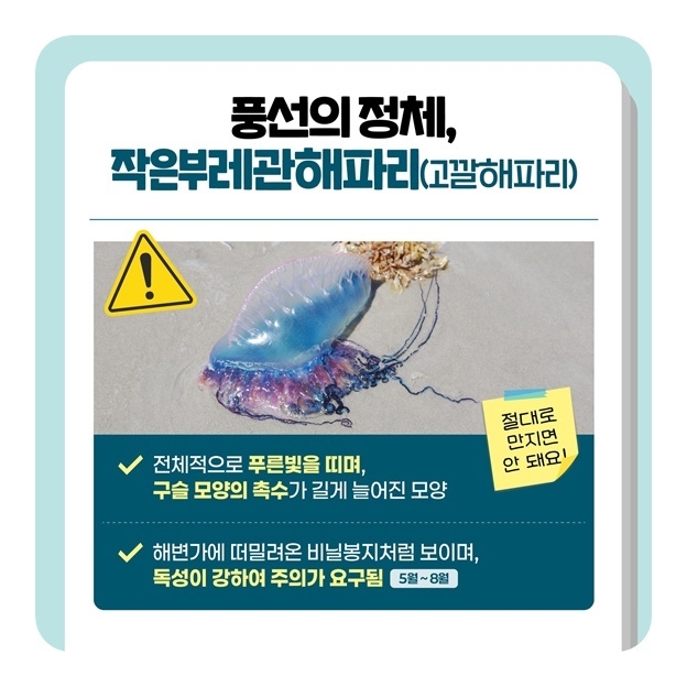 이미지ㅣ해양수산부