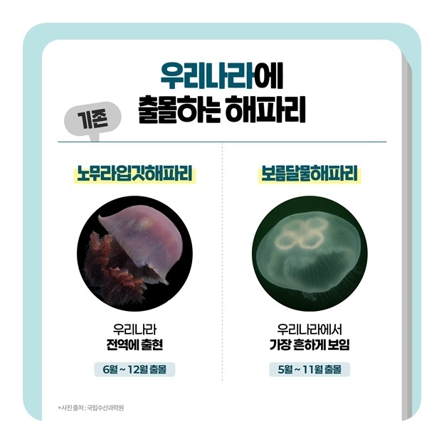 이미지ㅣ해양수산부