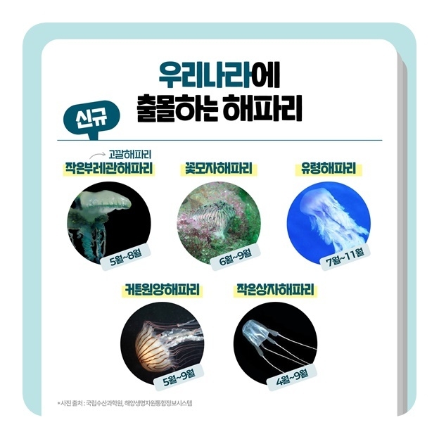 이미지ㅣ해양수산부