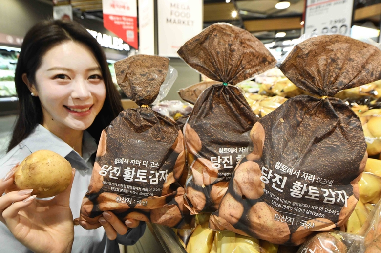 사진 ㅣ 홈플러스
